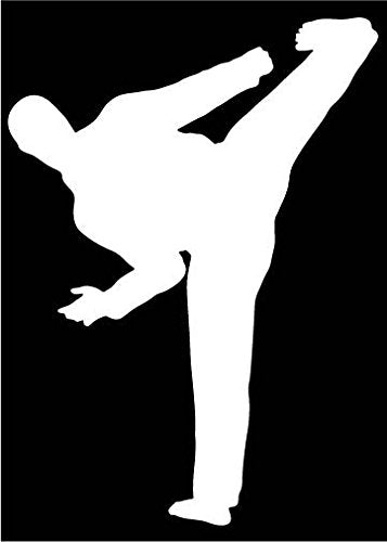 Picniva Martial Arts Fighter Type5 Vinyl Car Window Decal, Approx 5 in