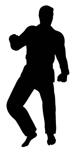 Picniva Martial Artist Ready Pose Removable Vinyl Wall Decal
