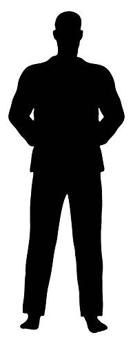 Picniva Fighting Sport Type 42 Removable Vinyl Wall Decal