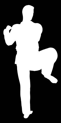 Picniva Martial Arts Fighter Sty140 Vinyl Car Window Decal, Approx 5 in