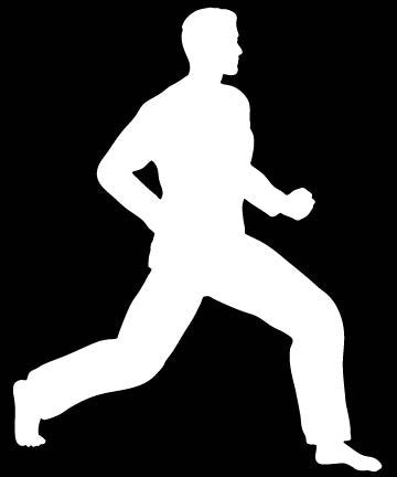 Picniva Martial Arts Fighter Sty150 Vinyl Car Window Decal, Approx 5 in