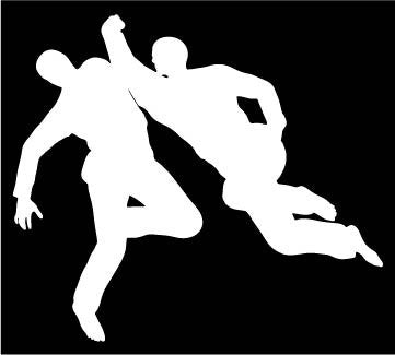 Picniva Martial Arts Fighter Type18 Vinyl Car Window Decal, Approx 5 in