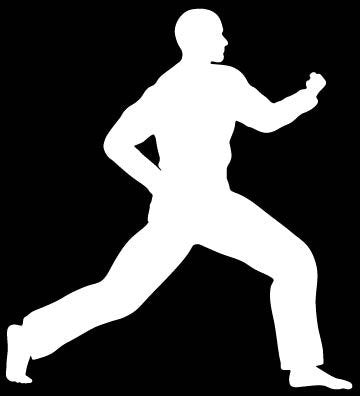 Picniva Martial Arts Fighter Sty62 Vinyl Car Window Decal, Approx 5 in