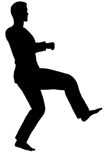 Picniva Martial Artist Knee Lift Removable Vinyl Wall Decal