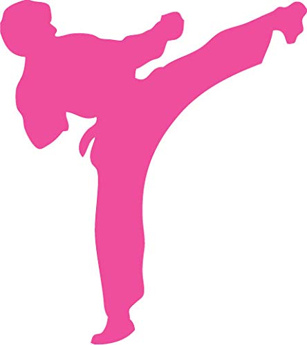 Decaltor Karate Kick Vinyl Decal for Car Window Laptop, 5 in