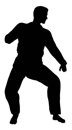 Picniva Martial Artist Low Stance Removable Vinyl Wall Decal