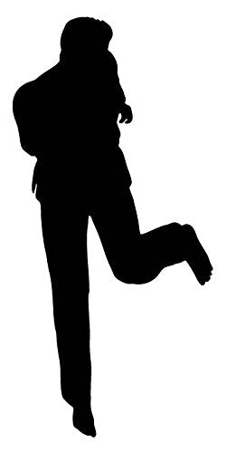 Picniva Fighting Sport Style 107 Removable Vinyl Wall Decal