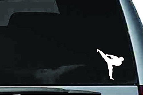 Picniva Martial Arts Fighter Sty216 Vinyl Car Window Decal, Approx 5 in