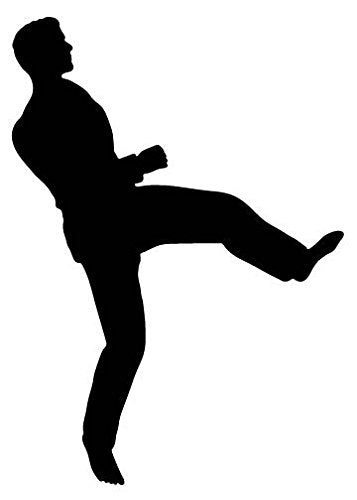 Picniva Fighting Sport Style 115 Removable Vinyl Wall Decal