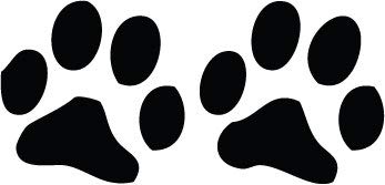Decaltor Dog Paws Vinyl Decal, 5.5 in