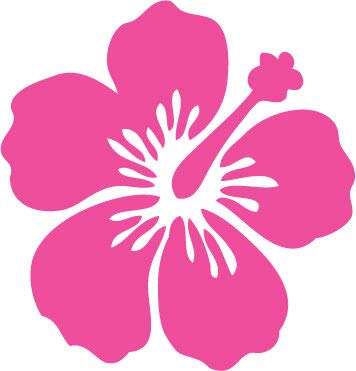 Decaltor Hibiscus Style 2 Vinyl Decal for Car Window Laptop, 5 in