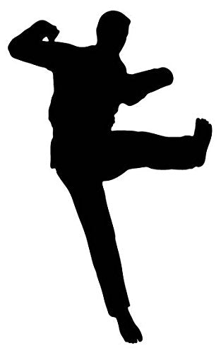 Picniva Fighting Sport Style 76 Removable Vinyl Wall Decal