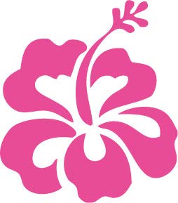 Decaltor Hawaiian Hibiscus Flower Vinyl Decal, 5 in square