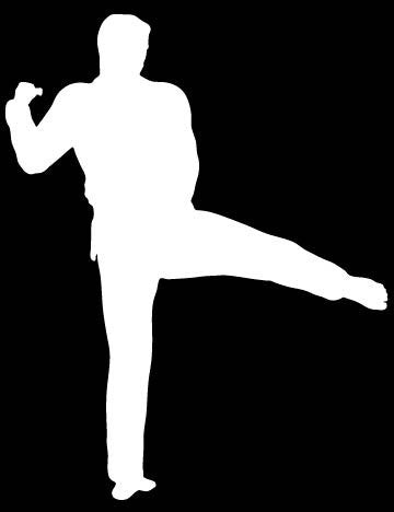 Picniva Martial Arts Fighter Sty144 Vinyl Car Window Decal, Approx 5 in