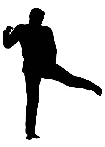 Picniva Fighting Sport Style 128 Removable Vinyl Wall Decal