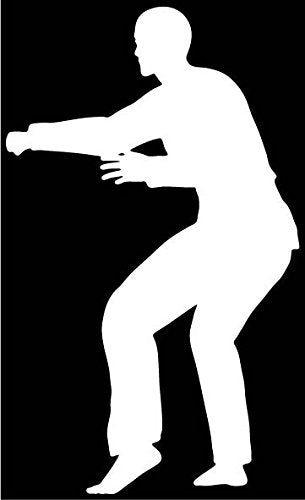 Picniva Martial Arts Fighter Type3 Vinyl Car Window Decal, Approx 5 in