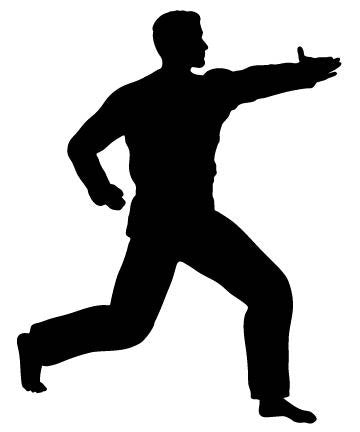 Picniva Fighting Sport Style 154 Removable Vinyl Wall Decal