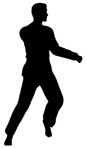 Picniva Martial Artist Raised Knee Removable Vinyl Wall Decal