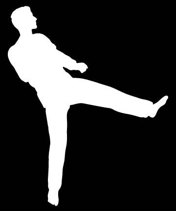 Picniva Martial Arts Fighter Sty114 Vinyl Car Window Decal, Approx 5 in