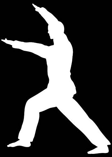 Picniva Martial Arts Fighter Sty54 Vinyl Car Window Decal, Approx 5 in
