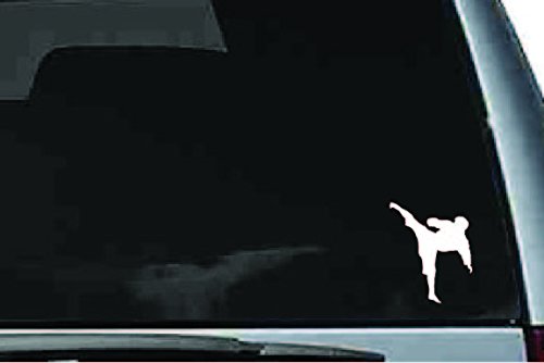 Picniva Martial Arts Fighter Sty223 Vinyl Car Window Decal, Approx 5 in