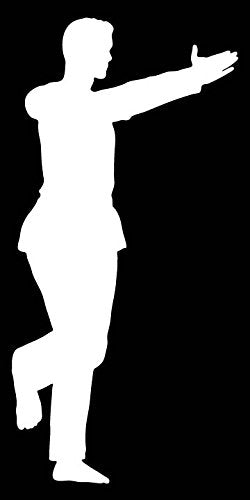 Picniva Martial Arts Fighter Sty156 Vinyl Car Window Decal, Approx 5 in