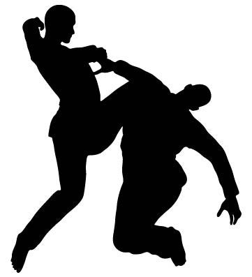 Picniva Fighting Sport Type 15 Removable Vinyl Wall Decal