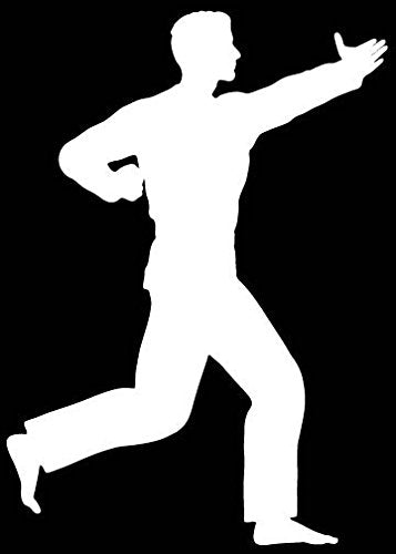 Picniva Martial Arts Fighter Sty155 Vinyl Car Window Decal, Approx 5 in