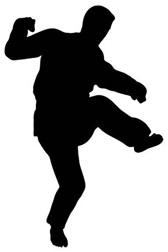 Picniva Fighting Sport Style 81 Removable Vinyl Wall Decal