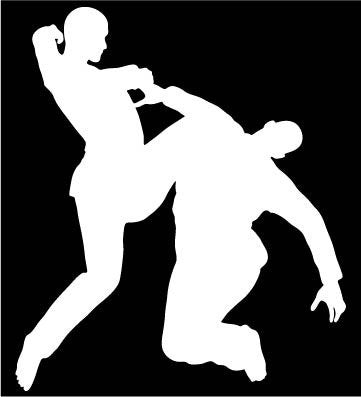 Picniva Martial Arts Fighter Type15 Vinyl Car Window Decal, Approx 5 in