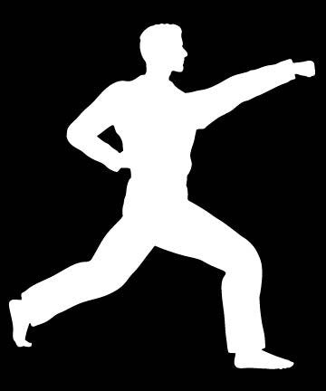 Picniva Martial Arts Fighter Sty193 Vinyl Car Window Decal, Approx 5 in