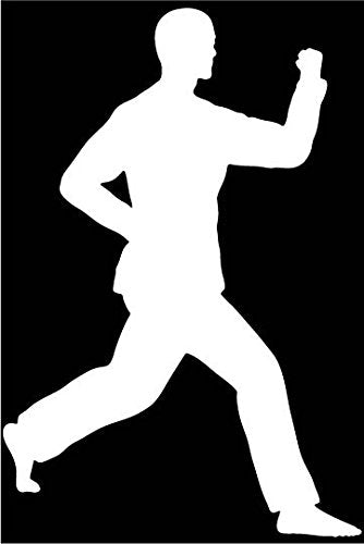Picniva Martial Arts Fighter Type49 Vinyl Car Window Decal, Approx 5 in