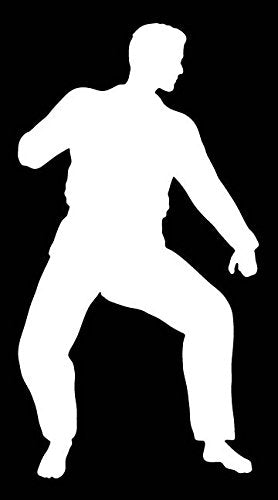 Picniva Martial Arts Fighter Sty123 Vinyl Car Window Decal, Approx 5 in