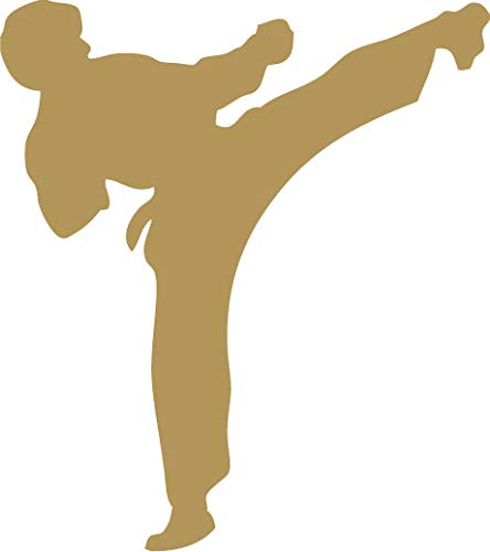 Decaltor Karate Kick Vinyl Decal for Car Window Laptop, 5 in