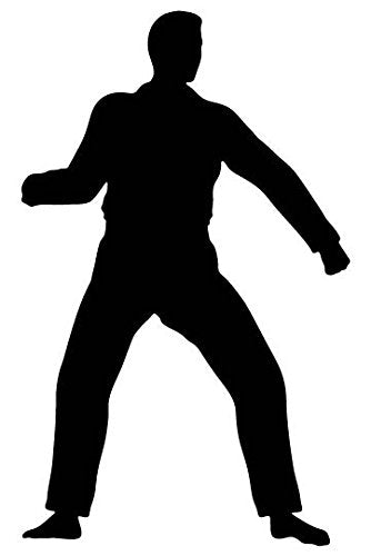 Picniva Fighting Sport Type 36 Removable Vinyl Wall Decal