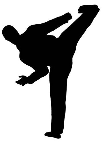 Picniva Fighting Sport Type 5 Removable Vinyl Wall Decal