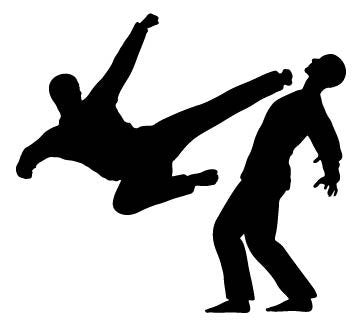 Picniva Fighting Sport Type 7 Removable Vinyl Wall Decal