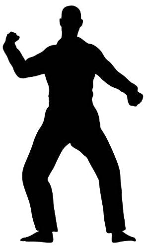 Picniva Fighting Sport Type 44 Removable Vinyl Wall Decal