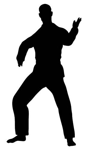 Picniva Fighting Sport Type 35 Removable Vinyl Wall Decal
