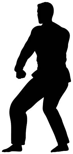 Picniva Martial Artist Low Guard Removable Vinyl Wall Decal