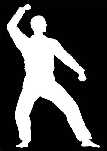 Picniva Martial Arts Fighter Type48 Vinyl Car Window Decal, Approx 5 in