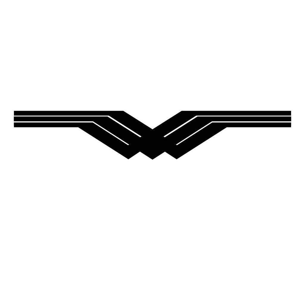 Picniva sty134 Racing Car Body Side Stripes Sticker Decal 2 Pcs