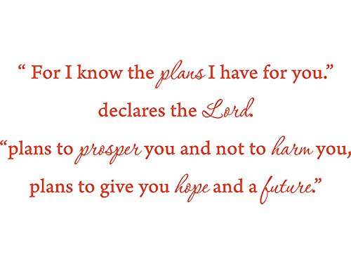 Picniva Jeremiah 29:11 Scripture Wall Decal, Orange, 22 x 9 in