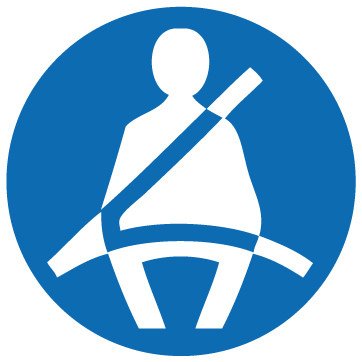 Picniva Buckle Up Seatbelt Reminder Stickers, Two Pack