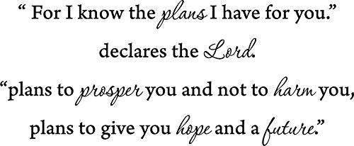 Picniva Jeremiah 29:11 Scripture Wall Decal, Black, 9 x 22 in