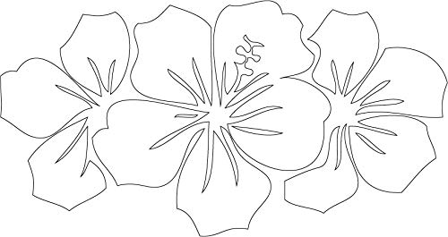Decaltor Hibiscus Flower Group Vinyl Decal for Car Window Laptop, 5 in