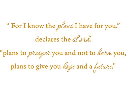 Picniva Jeremiah 29:11 Scripture Wall Decal, Gold Chrome Mirror, 22 x 9 in