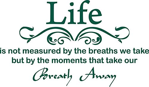 Picniva Life Is Not Measured Quote Vinyl Wall Decal, Green, 22 x 12 in