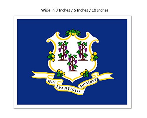 Picniva Connecticut State Flag Vinyl Car Bumper Window Sticker, 10 in Wide