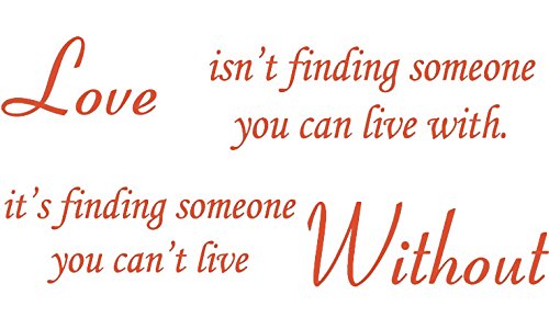 Picniva Love Without Quote Vinyl Wall Decal, Orange 22 x 10 in